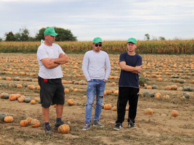 RWA Dan polja uljnih tikvi