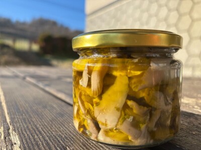 S gljivama u detoksikaciju S gljivama u detoksikaciju