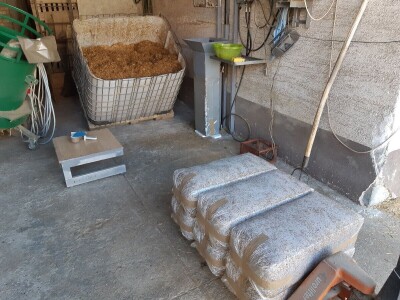 S gljivama u detoksikaciju S gljivama u detoksikaciju