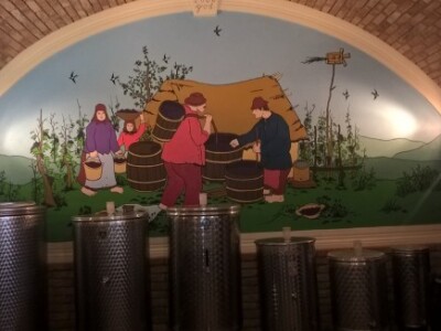 U potrazi za najboljim ovogodišnjim OPG-om!