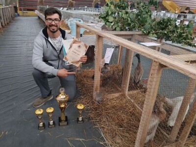 Sa farme gusaka redovno snima klipove za svoj kanal Sa farme gusaka redovno snima klipove za svoj kanal