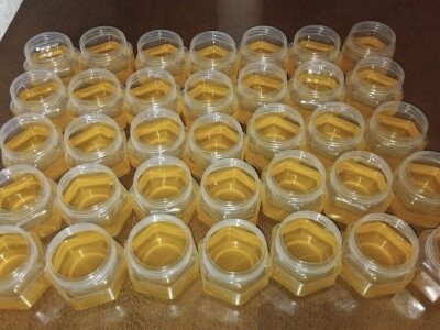 Sa farme gusaka redovno snima klipove za svoj kanal Sa farme gusaka redovno snima klipove za svoj kanal