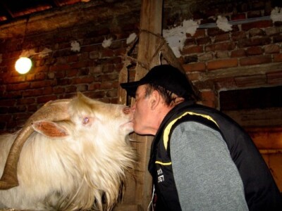 Mikulin naslednik- Mikula Mali Mikulin naslednik- Mikula Mali