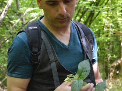 biolog mr.sc. Šabanović Elvedin biolog mr.sc. Šabanović Elvedin