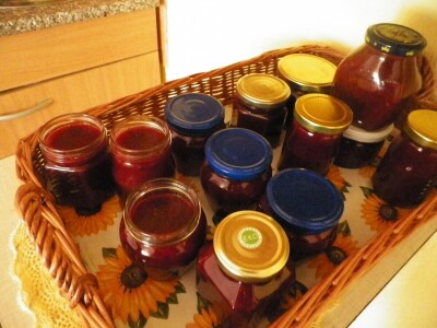 Sabina Urbanc - naj iznajmljivačica