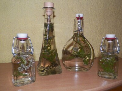 Sabina Urbanc - naj iznajmljivačica