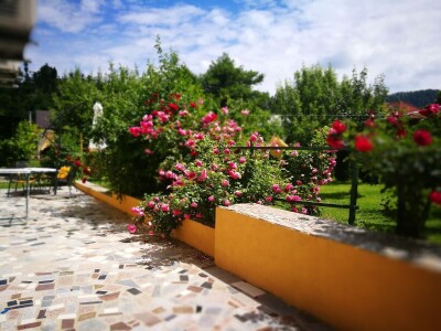 Sabina Urbanc - naj iznajmljivačica