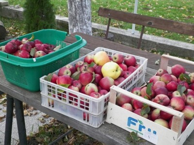 Sabina Urbanc - naj iznajmljivačica