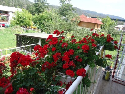 Sabina Urbanc - naj iznajmljivačica