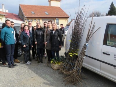 Sačuvajmo stare sorte "Cernik 2019."