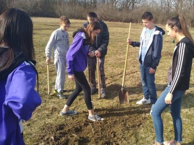 Sačuvajmo stare sorte "Cernik 2019."