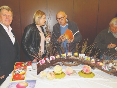 Sačuvajmo stare sorte "Cernik 2019."