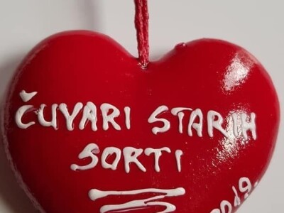 Sačuvajmo stare sorte "Cernik 2019."