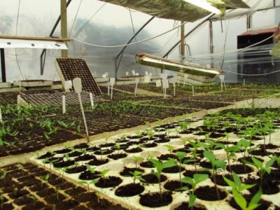 Projekt &quot;Volim ljuto&quot;