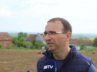 Sadnja 279 sorata vinove loze iz cijelog svijeta