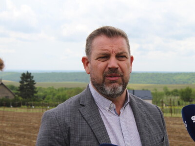 Sadnja 279 sorata vinove loze iz cijelog svijeta