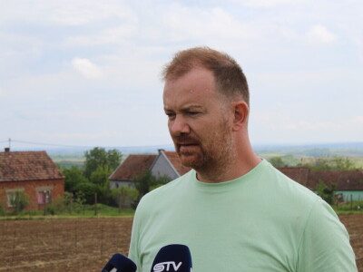 Sadnja 279 sorata vinove loze iz cijelog svijeta