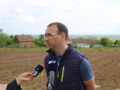 Sadnja 279 sorata vinove loze iz cijelog svijeta