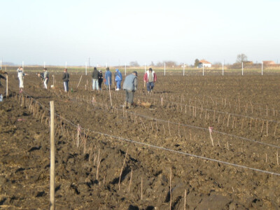 Vremenske prilike povoljne za sadnju maline