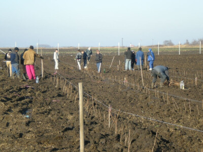 Polka se sadi &quot;uz kanap&quot;