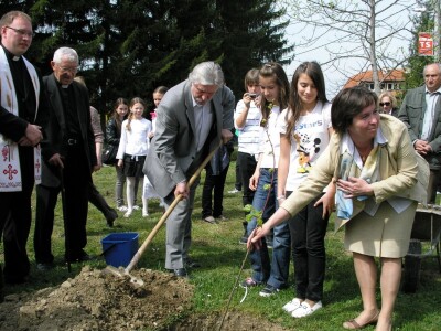 Sadnja gupčeve lipe u donjostubičkoj školi