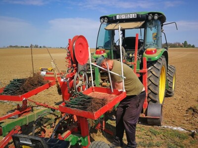 Sadnja novih nasada vinove loze u Erdutskim vinogradima Sadnja novih nasada vinove loze u Erdutskim vinogradima