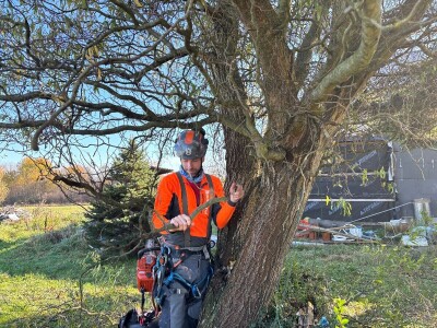 Sadnja pravog stabla na pravom mjestu i na pravi način smanjuje štetu