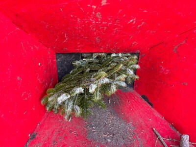 Sadnja pravog stabla na pravom mjestu i na pravi način smanjuje štetu