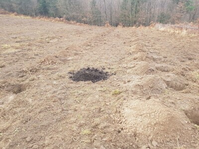 Sadnja šljiva u Šekovićima Sadnja šljiva u Šekovićima