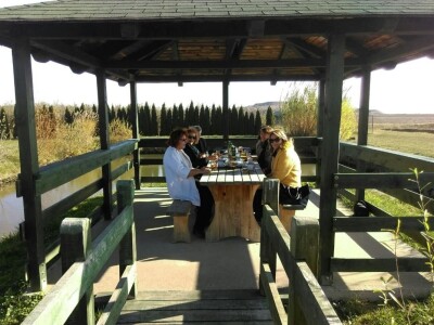 Sadnja starih sorti jabuka u Poljoprivrednoj i veterinarskoj školi Osijek