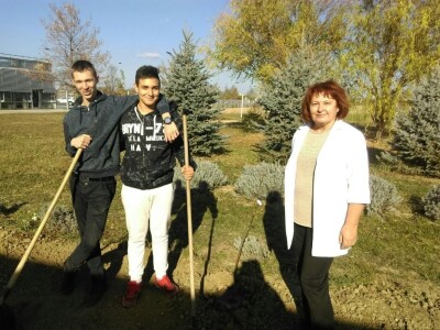 Sadnja starih sorti jabuka u Poljoprivrednoj i veterinarskoj školi Osijek
