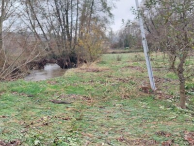 Sadnja voća na terenima koji plave Sadnja voća na terenima koji plave