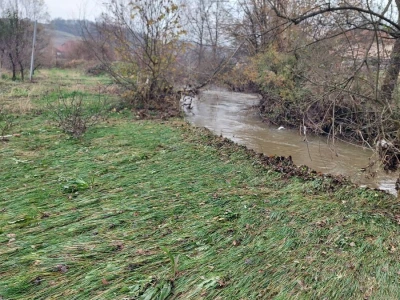 Sadnja voća na terenima koji plave
