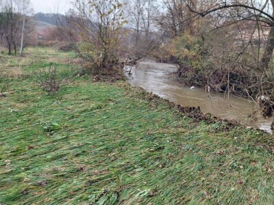 Sadnja voća na terenima koji plave Sadnja voća na terenima koji plave