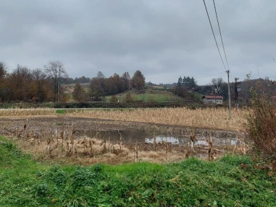 Sadnja voća na terenima koji plave