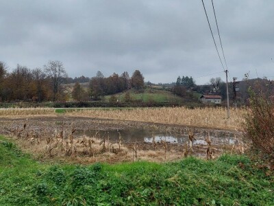 Sadnja voća na terenima koji plave Sadnja voća na terenima koji plave