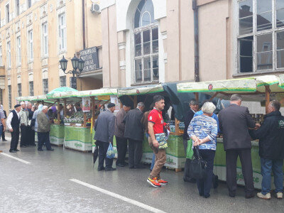 Dani organske proizvodnje ZDK