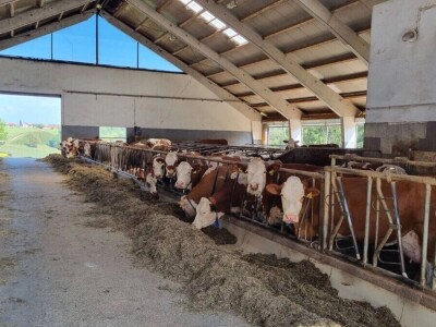 Mljekari RS na sajmu Agra u Gornjoj Radgoni