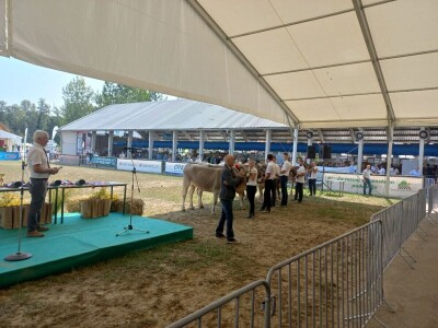 Mljekari RS na sajmu Agra u Gornjoj Radgoni