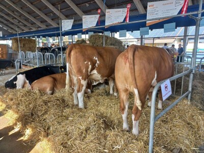 Mljekari RS na sajmu Agra u Gornjoj Radgoni