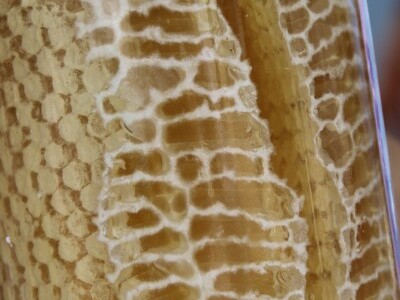 Sajam organskih proizvoda u Bihaću