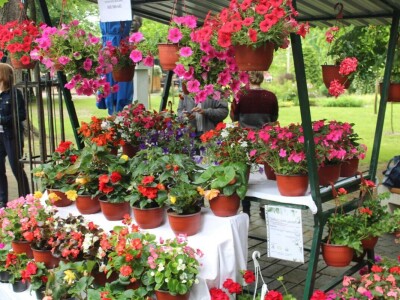 Sajam cvijeća Bijeljina 2023