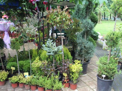 Sajam cvijeća Bijeljina 2023