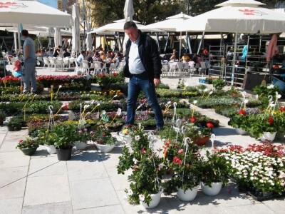 Sajam cvijeća u Crikvenici - ožujak 2019.