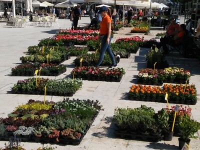 Sajam cvijeća u Crikvenici - ožujak 2019.
