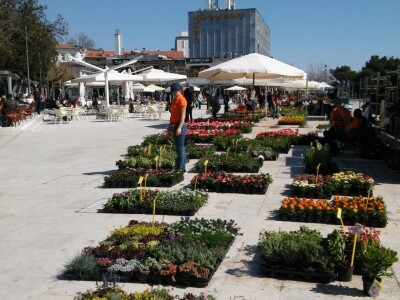 Sajam cvijeća u Crikvenici - ožujak 2019.