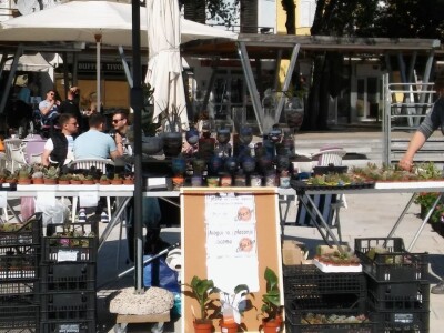 Sajam cvijeća u Crikvenici - ožujak 2019.