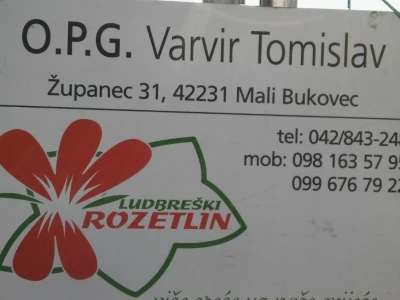Sajam cvijeća u Crikvenici - ožujak 2019.