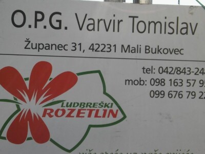 Sajam cvijeća u Crikvenici - ožujak 2019.