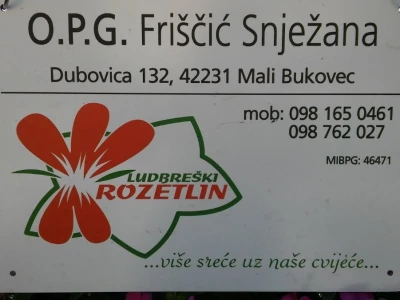 Sajam cvijeća u Crikvenici - ožujak 2019.